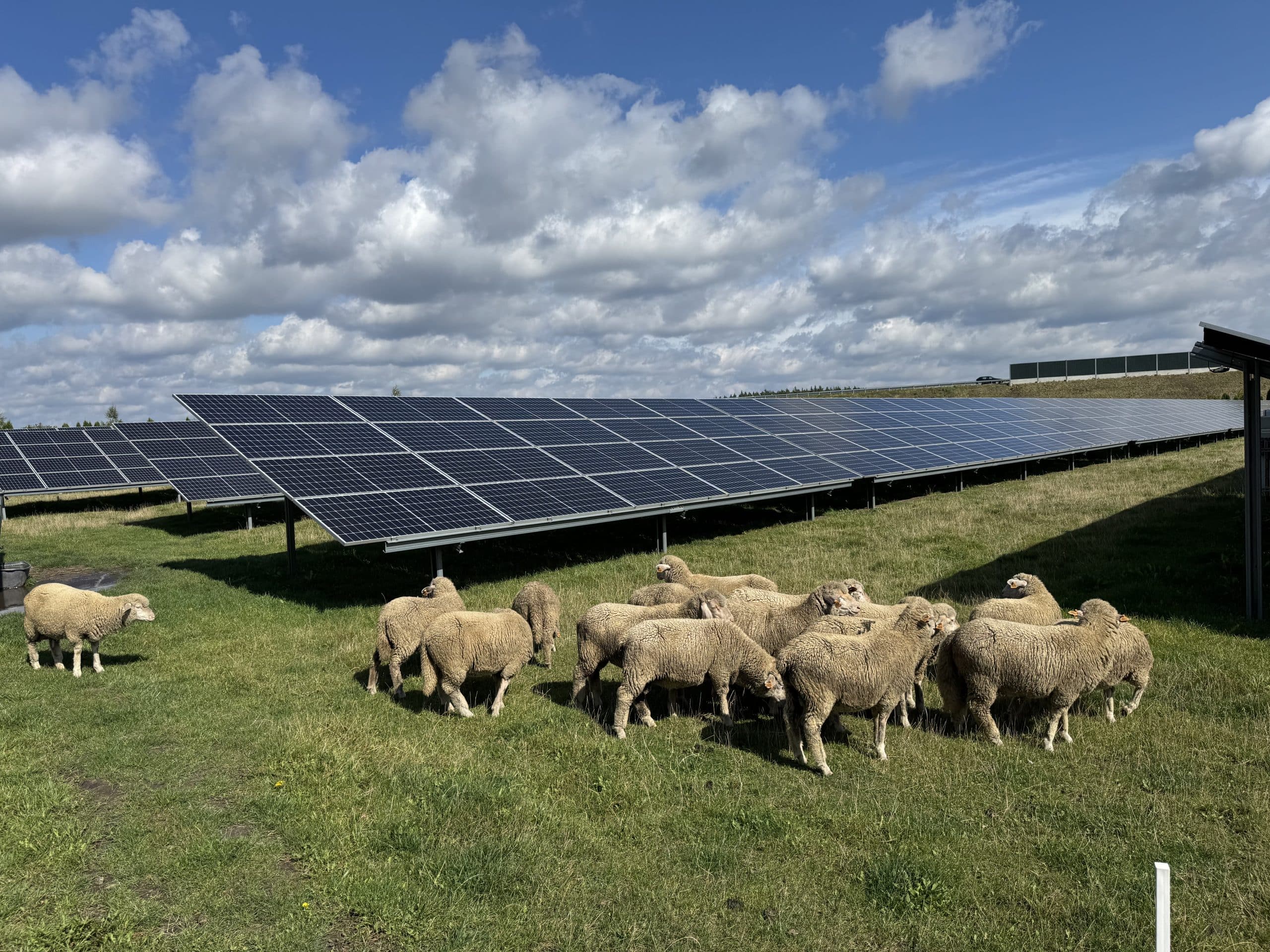 250kW Solar System for 50K in Nowa Wieś, Poland