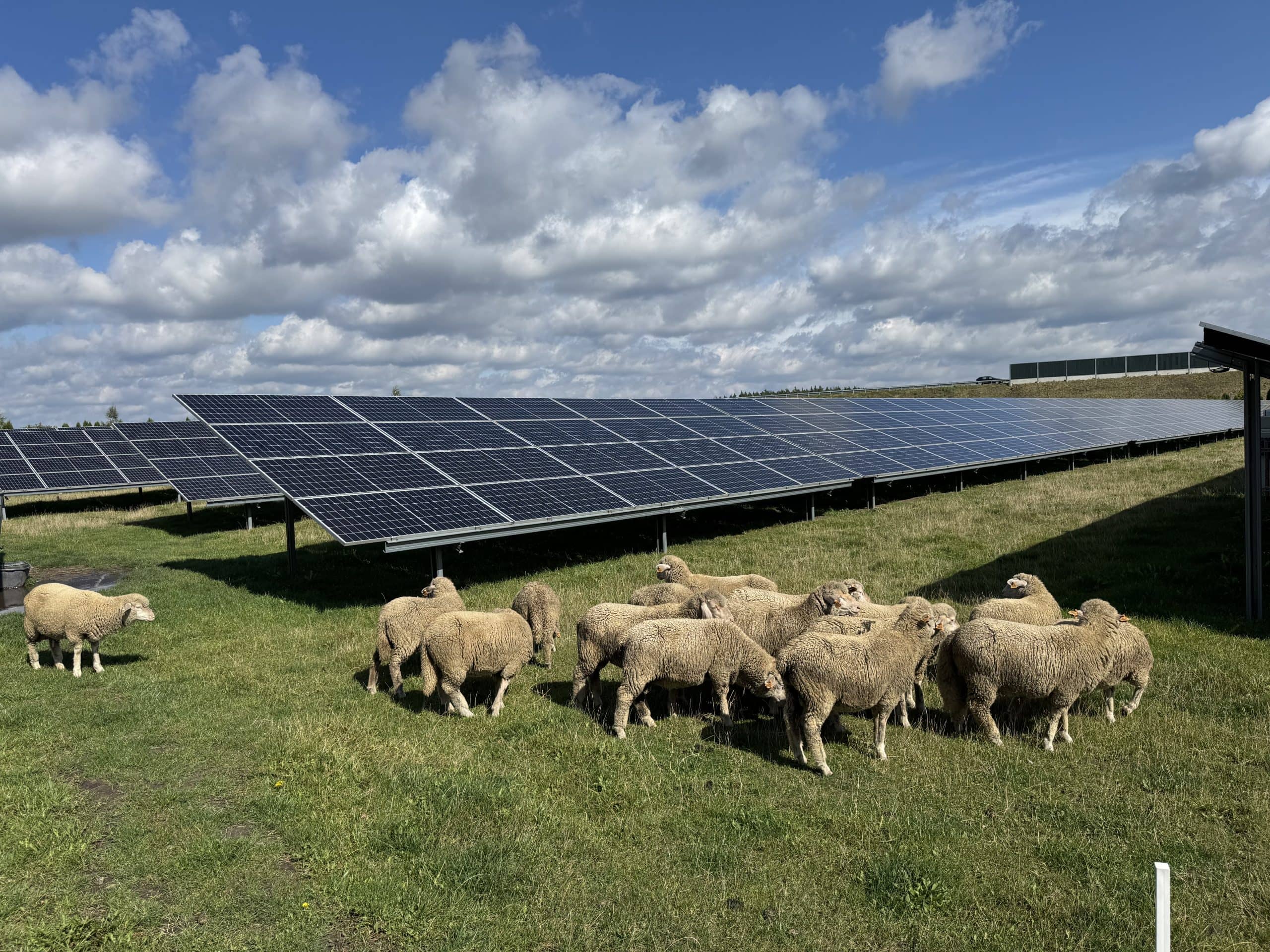250kW Solar System for 50K in Nowa Wieś, Poland